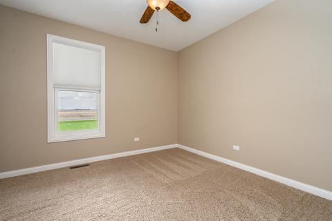 7310 Nettle School Rd, Morris, IL 60450 photo 17