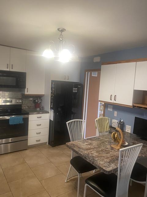 38 Stacy Ct, Glenview, IL 60025 photo 5