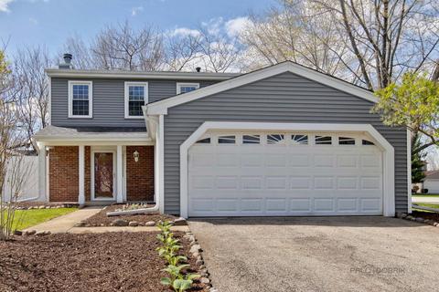540 Middleton Dr, Roselle, IL 60172 photo 1