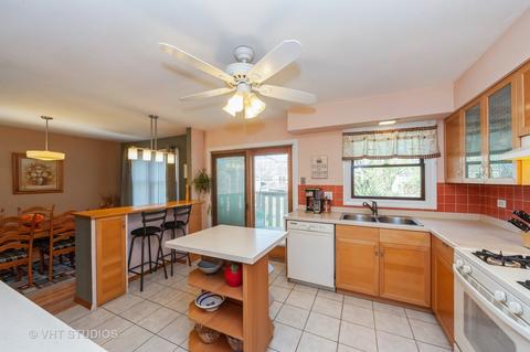 315 Hamstead Ct, Roselle, IL 60172 photo 9