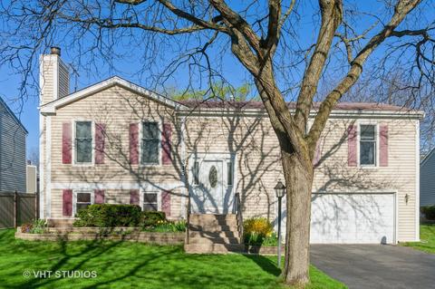 315 Hamstead Ct, Roselle, IL 60172 photo 24
