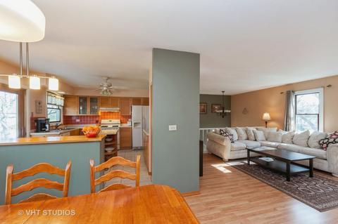 315 Hamstead Ct, Roselle, IL 60172 photo 11