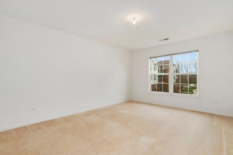 690 Mill Cir #204, Wheeling, IL 60090 photo 12