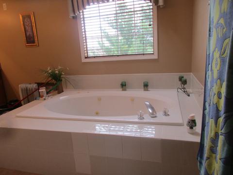24134 Simo Dr, Plainfield, IL 60586 photo 17