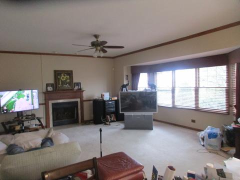 24134 Simo Dr, Plainfield, IL 60586 photo 3