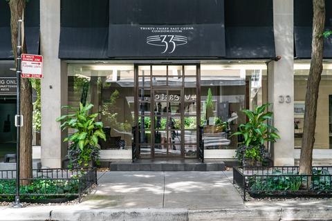 33 E Cedar St #10G, Chicago, IL 60611 photo 1