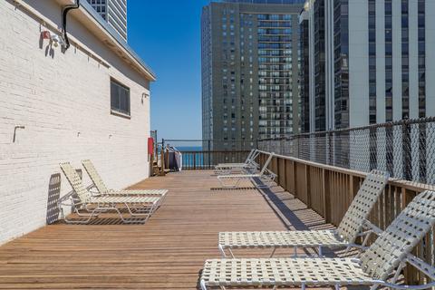 33 E Cedar St #10G, Chicago, IL 60611 photo 25