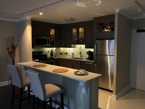 33 E Cedar St #10G, Chicago, IL 60611 photo 13