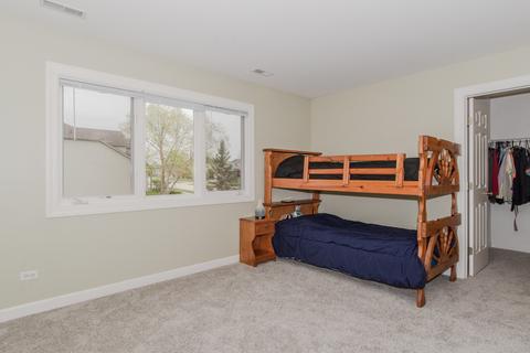 22906 Weinhold Dr, Plainfield, IL 60585 photo 45