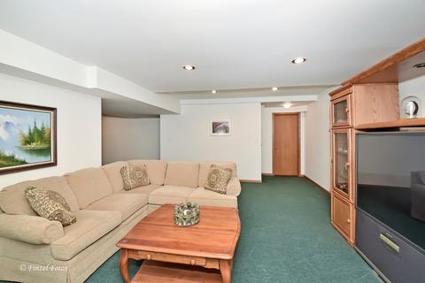 810 Old Oak Cir, Algonquin, IL 60102 photo 20