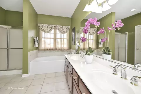 9 N240 Tamara Dr, Elgin, IL 60124 photo 9