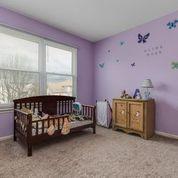 25000 Sandra Ln, Plainfield, IL 60544 photo 17