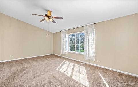 1541 Spaulding Rd, Bartlett, IL 60103 photo 23