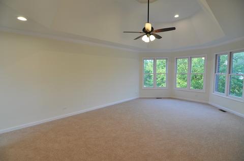 13238 Lakepoint Dr, Plainfield, IL 60585 photo 20