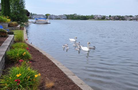 13238 Lakepoint Dr, Plainfield, IL 60585 photo 31