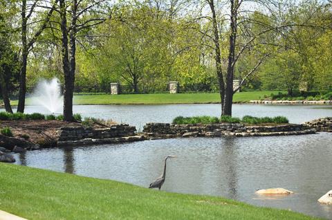 13238 Lakepoint Dr, Plainfield, IL 60585 photo 27