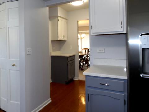 1360 E Thacker St, Schaumburg, IL 60173 photo 15