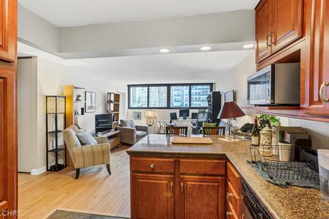 30 E Division St #6C, Chicago, IL 60610 photo 6