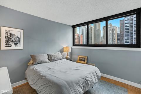 30 E Division St #6C, Chicago, IL 60610 photo 9