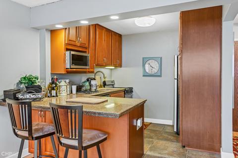 30 E Division St #6C, Chicago, IL 60610 photo 8