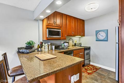 30 E Division St #6C, Chicago, IL 60610 photo 7