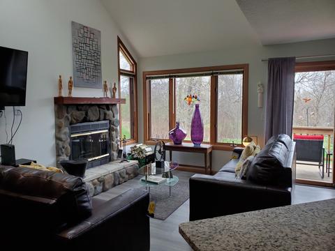 118 E Point Dr, Galena, IL 61036 photo 3