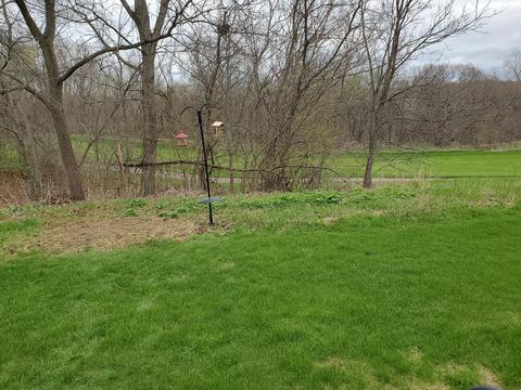 118 E Point Dr, Galena, IL 61036 photo 24