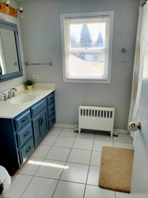 208 E Haven Ave, New Lenox, IL 60451 photo 14