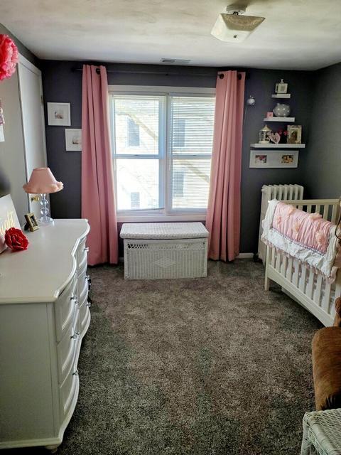 208 E Haven Ave, New Lenox, IL 60451 photo 15