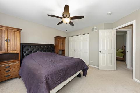 904 Christopher St, Plano, IL 60545 photo 25