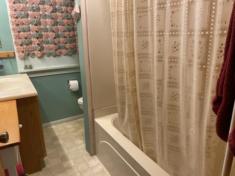 306 E Wayne St, Le Roy, IL 61752 photo 14