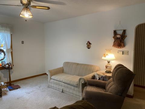 306 E Wayne St, Le Roy, IL 61752 photo 9