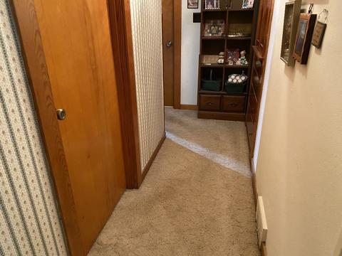 306 E Wayne St, Le Roy, IL 61752 photo 10