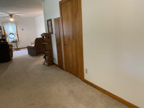 306 E Wayne St, Le Roy, IL 61752 photo 4