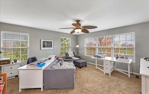 920 Moultrie Ct, Naperville, IL 60563 photo 17
