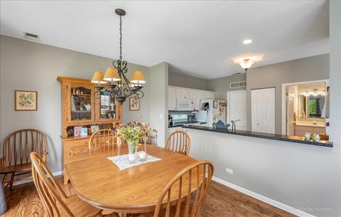 920 Moultrie Ct, Naperville, IL 60563 photo 9