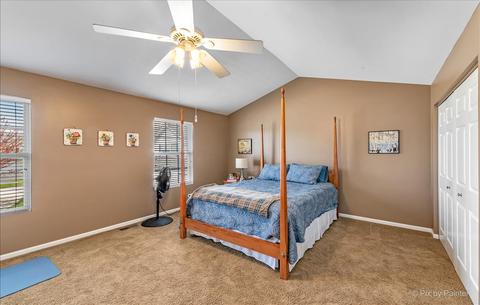 920 Moultrie Ct, Naperville, IL 60563 photo 18
