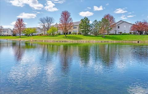 920 Moultrie Ct, Naperville, IL 60563 photo 27