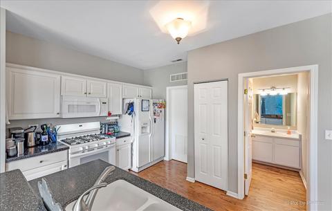 920 Moultrie Ct, Naperville, IL 60563 photo 13