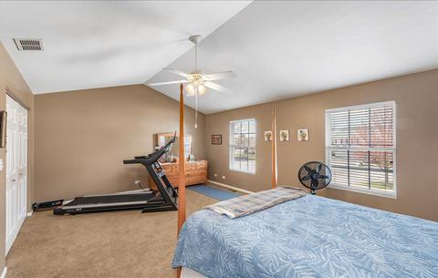 920 Moultrie Ct, Naperville, IL 60563 photo 19