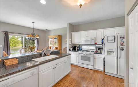 920 Moultrie Ct, Naperville, IL 60563 photo 11
