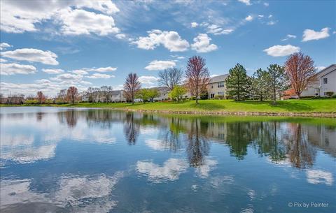 920 Moultrie Ct, Naperville, IL 60563 photo 28