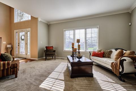 12857 Barrow Ln, Plainfield, IL 60585 photo 6