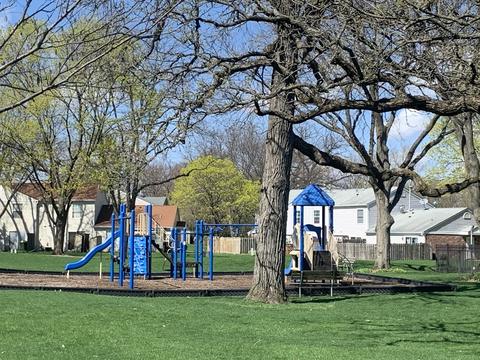 50 Silver Tree Cir, Cary, IL 60013 photo 17