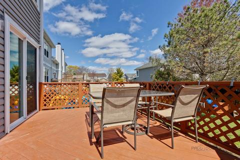 1007 Bentley Ln, Bartlett, IL 60103 photo 24