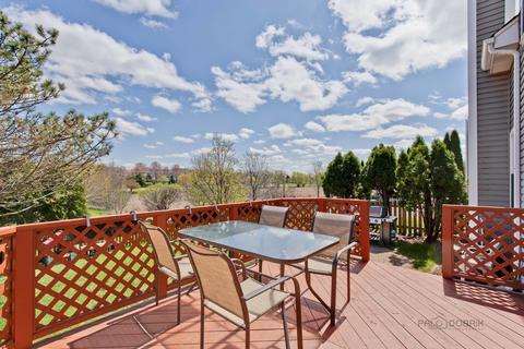 1007 Bentley Ln, Bartlett, IL 60103 photo 23