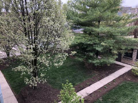 4830 N Hoyne Ave #3, Chicago, IL 60625 photo 17