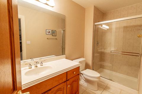274 E South St, Elmhurst, IL 60126 photo 48