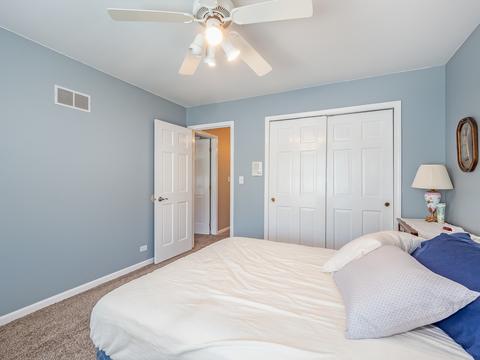 309 W Morse Ave, Bartlett, IL 60103 photo 20
