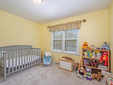 309 W Morse Ave, Bartlett, IL 60103 photo 22